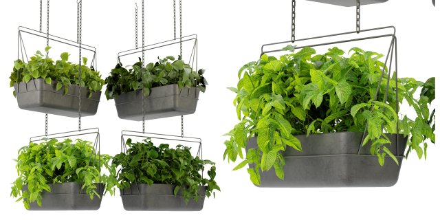 Collection Plant Vol 368 - Blender Model Model 3D .c4d .max .obj .3ds .fbx .stl .blend 
