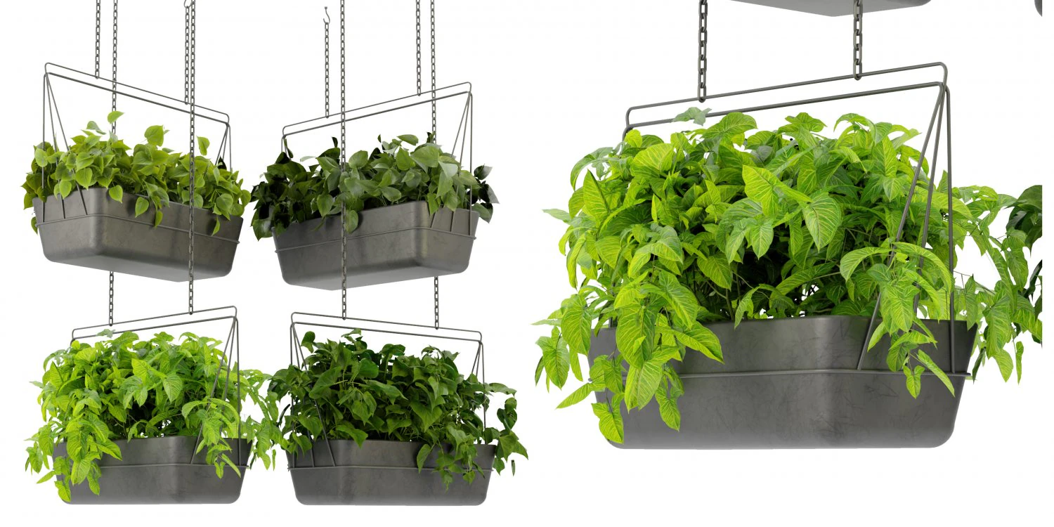 Collection Plant Vol 368 - Blender Model 3D Model .c4d .max .obj .3ds .fbx .stl .blend 