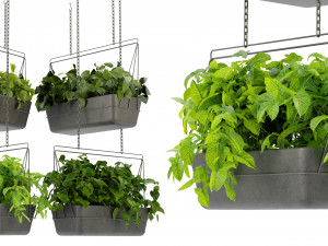 Collection Plant Vol 368 - Blender Model 3D Model