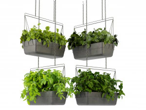 Collection Plant Vol 368 - Blender Model 3D Model