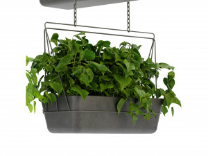 Collection Plant Vol 368 - Blender Model Model 3D