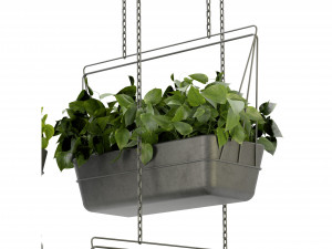 Collection Plant Vol 368 - Blender Model Model 3D