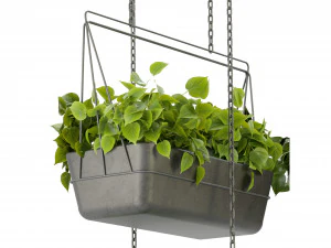 Collection Plant Vol 368 - Blender Model 3D Model