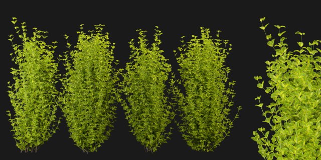 Collection Plant Vol 369 - Blender Model Modello 3D .c4d .max .obj .3ds .fbx .stl .blend 