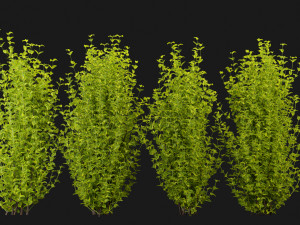Collection Plant Vol 369 - Blender Model Modello 3D