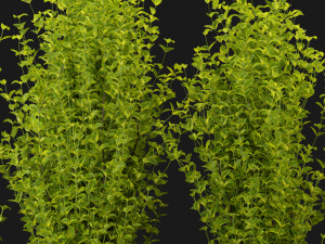 Collection Plant Vol 369 - Blender Model Modello 3D