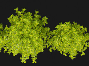 Collection Plant Vol 369 - Blender Model Modello 3D
