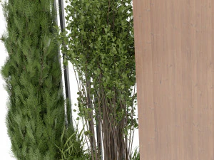 Collection Plant Vol 371 - Blender Model 3D Model