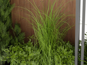 Collection Plant Vol 371 - Blender Model 3D Модель