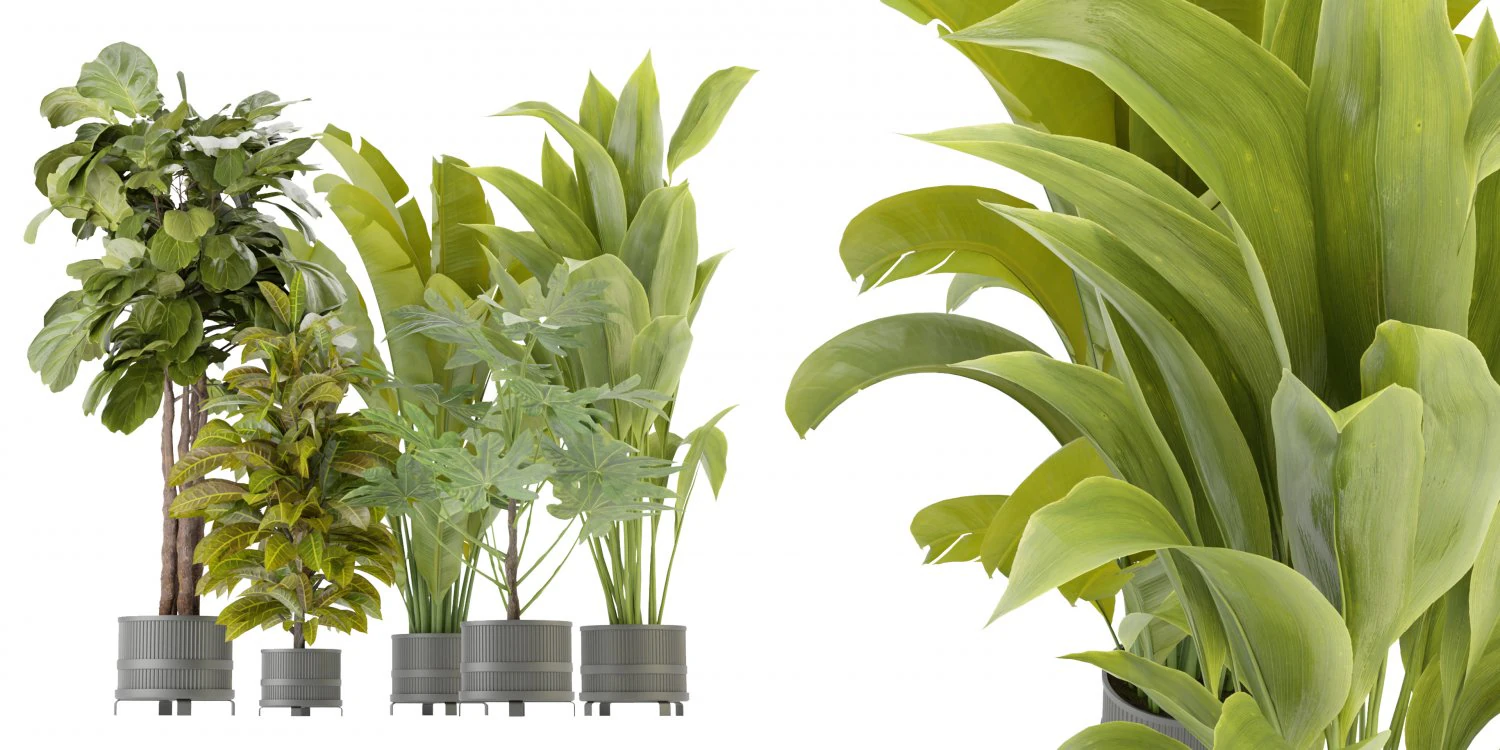 Collection Plant Vol 373 - Mod&egrave;le Blender Modèle 3D .c4d .max .obj .3ds .fbx .stl .blend 