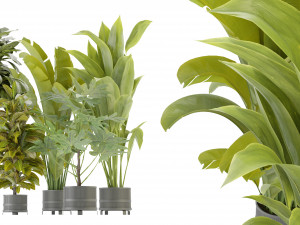 Collection Plant Vol 373 - Blender Model 3D Model