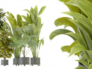 Collection Plant Vol 373 &ndash; Blender-Modell 3D Modell