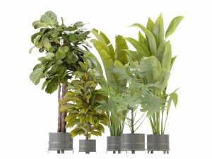 Collection Plant Vol 373 - Blender Model Modelo 3D
