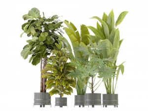 Collection Plant Vol 373 - Mod&egrave;le Blender Modèle 3D