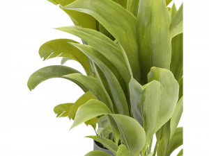 Collection Plant Vol 373 - Mod&egrave;le Blender Modèle 3D