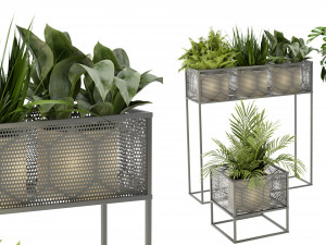 Collection Plant Vol 375 - Blender Model 3D Model