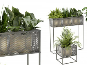 Collection Plant Vol 375 &ndash; Blender-Modell 3D Modell