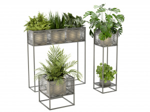 Collection Plant Vol 375 - Blender Model Modèle 3D