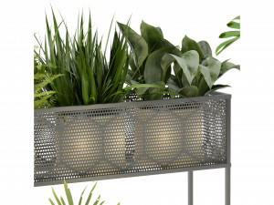 Collection Plant Vol 375 - Blender Model Modèle 3D
