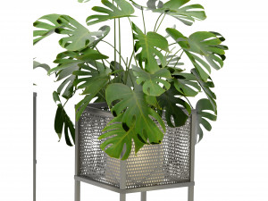 Collection Plant Vol 375 - Blender Model Modèle 3D