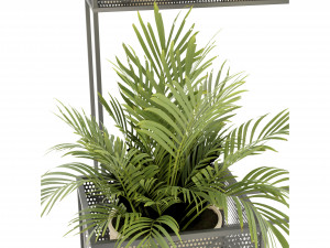 Collection Plant Vol 375 - Blender Model Modèle 3D