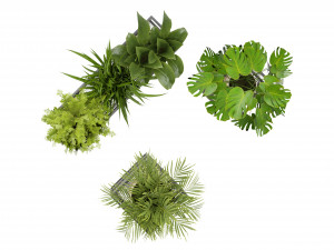 Collection Plant Vol 375 - Blender Model Modèle 3D