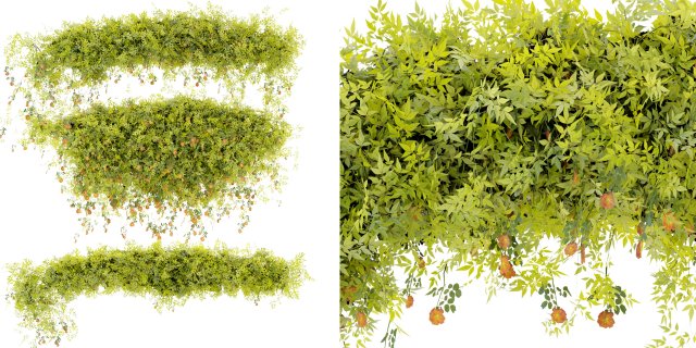 Collection Plant Vol 376 - Blender Model Modelo 3D .c4d .max .obj .3ds .fbx .stl .blend 