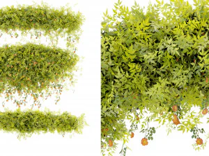 कलेक्शन प्लांट वॉल्यूम 376 - ब्लेंडर मॉडल 3D मॉडल