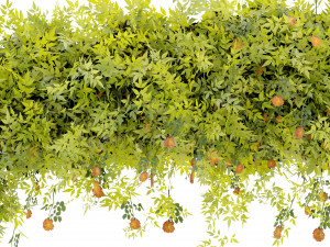 Collection Plant Vol 376 - Blender Model Modelo 3D