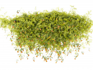 Collection Plant Vol 376 - Blender Model Modelo 3D