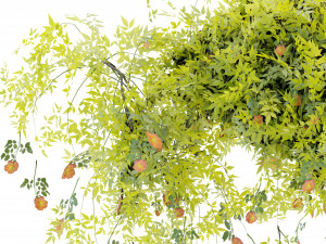 Collection Plant Vol 376 - Blender Model Modelo 3D
