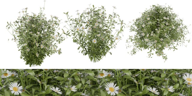 Collection Plant Vol 377 - Blender Model 3D 모델 .c4d .max .obj .3ds .fbx .stl .blend 