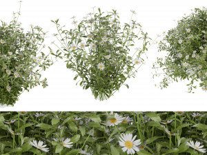 Collection Plant Vol 377 - Blender Model 3D Модель