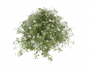 Collection Plant Vol 377 - Blender Model 3D 모델