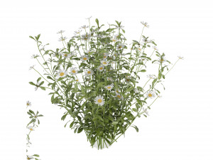 Collection Plant Vol 377 - Blender Model 3D 모델
