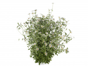 Collection Plant Vol 377 - Blender Model 3D 모델