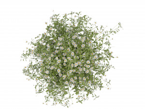 Collection Plant Vol 377 - Blender Model 3D 모델