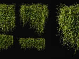 Collection Plant Vol 378 - Blender Model 3D 模型