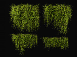 Collection Plant Vol 378 - Blender Model Model 3D
