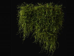 Collection Plant Vol 378 - Blender Model Model 3D
