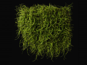 Collection Plant Vol 378 - Blender Model Model 3D