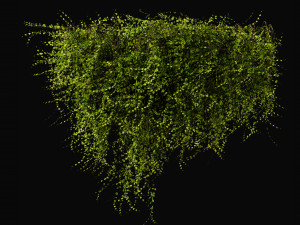 Collection Plant Vol 378 - Blender Model Model 3D