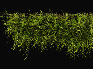Collection Plant Vol 378 - Blender Model Model 3D