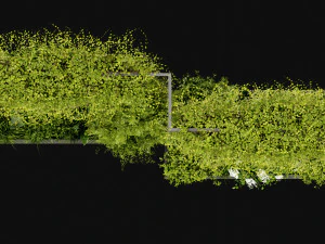 Collection Plant Vol 379 - Blender Model 3D Model