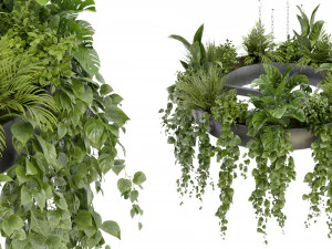 Cole&ccedil;&atilde;o Plant Vol 380 - Modelo Blender Modelo 3D