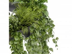 컬렉션 플랜트 Vol 380 - 블렌더 모델 3D 모델