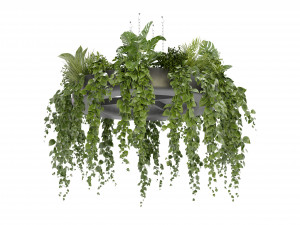 Collection Plant Vol 380 - Blender Model 3D Model