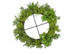 컬렉션 플랜트 Vol 380 - 블렌더 모델 3D 모델