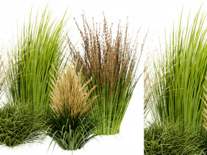 Kolekcja Plant, tom 383 - Model blendera Model 3D