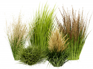 Collection Plant Vol 383 - Blender Model 3D Model